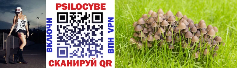 Псилоцибиновые грибы MAGIC MUSHROOMS  Нестеров 