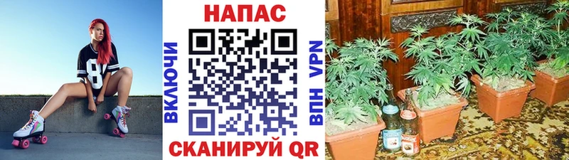 mega вход  купить  сайты  это формула  Марихуана план  Нестеров 
